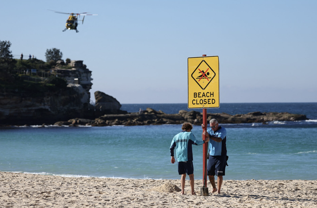 Woman seriously injured in shark attack at Sydney beach- Ảnh 1. Woman seriously injured in shark attack at Sydney beach- Ảnh 1.