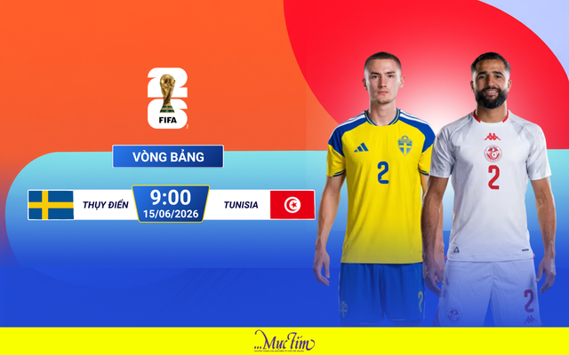 Đội hình xuất phát Thụy Điển đấu Tunisia bảng F World Cup 2026 - Ảnh 1.
