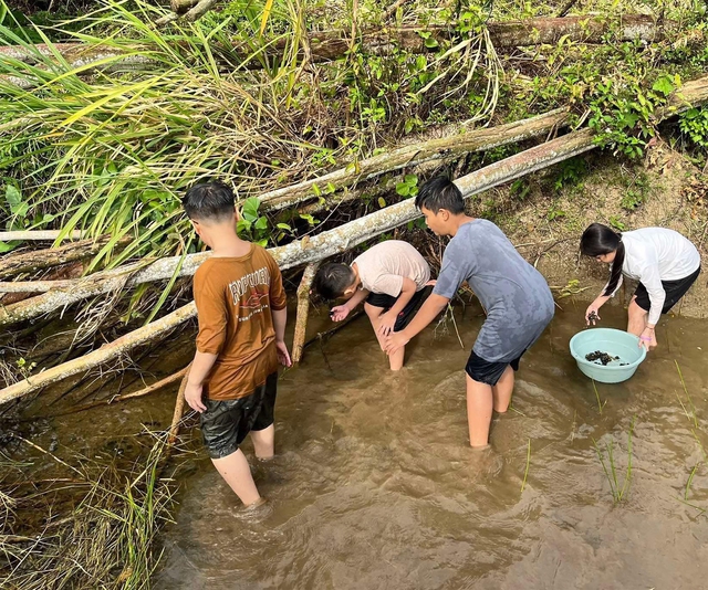 Mùa hè quá đã khi được làm nông dân, đuổi còng, hòa mình vào thiên nhiên - Ảnh 5.
