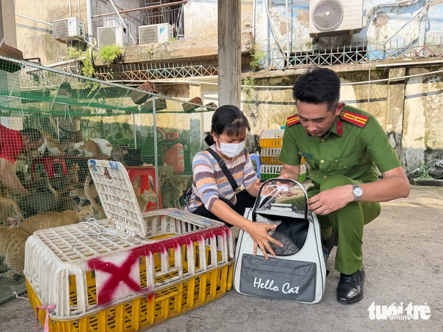 In Ho Chi Minh City, stolen cats reunited with owners as foreigners, local residents donate supplies- Ảnh 7. In Ho Chi Minh City, stolen cats reunited with owners as foreigners, local residents donate supplies- Ảnh 7.