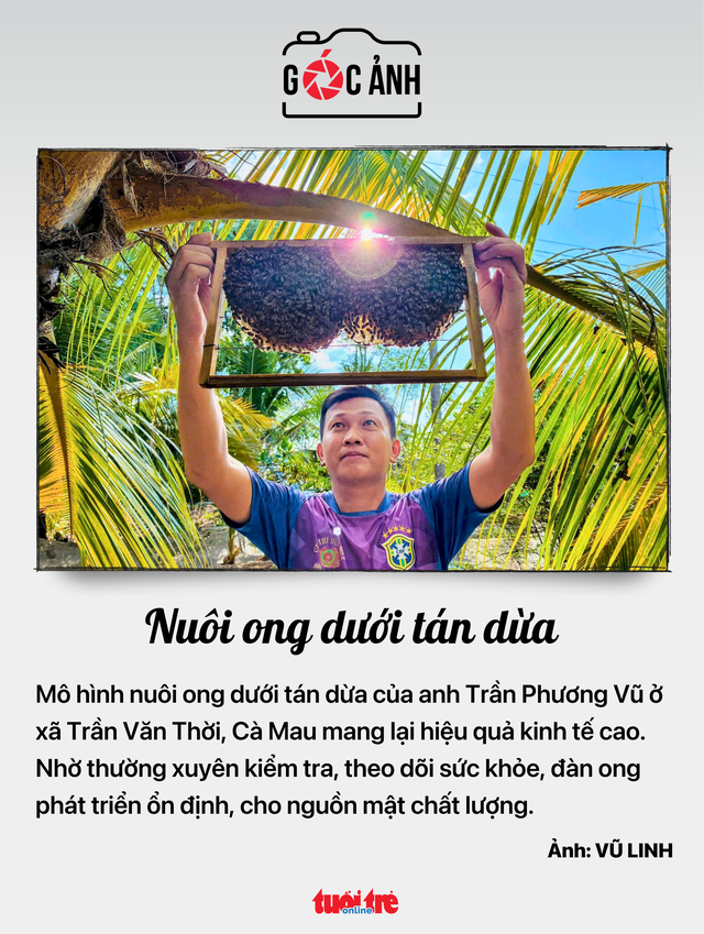Tin tức sáng 18-6: Lượng quan tâm bất động sản Hà Nội giảm, còn TP.HCM lại tăng - Ảnh 7.
