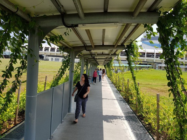 Làm mái che cho người đi bộ đến trạm xe buýt, metro - Ảnh 1.
