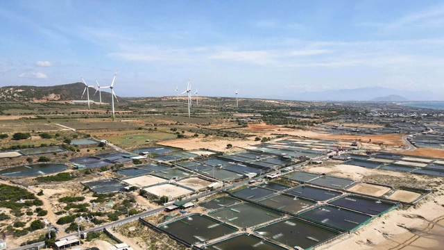 Việt Nam trước cơ hội kết nối Nga - ASEAN - Ảnh 4. Việt Nam trước cơ hội kết nối Nga - ASEAN - Ảnh 3.