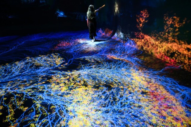 AI museum brings sights, sounds and smells of the rainforest- Ảnh 3.