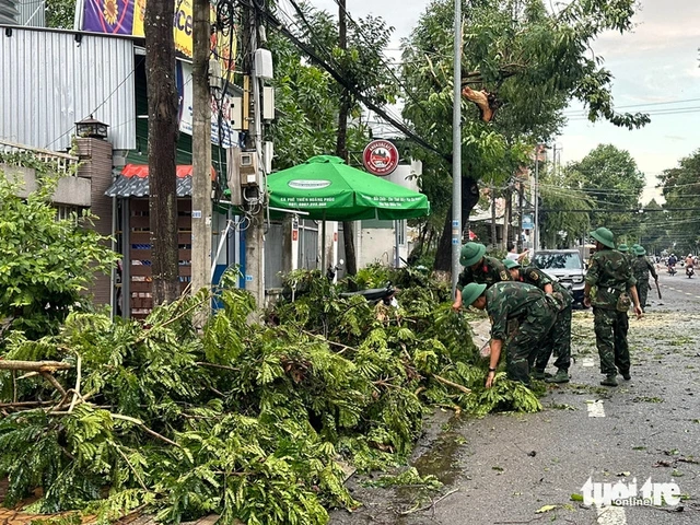 Dozens of trees uprooted in Dong Thap after heavy rain, strong winds - Ảnh 4.