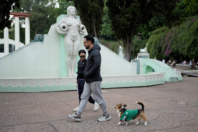 In Mexico, World Cup jerseys fit all shapes, sizes - and species- Ảnh 7.