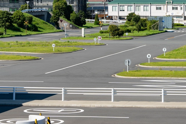 Japan to review elderly driving test after higher accident rate - Ảnh 1.