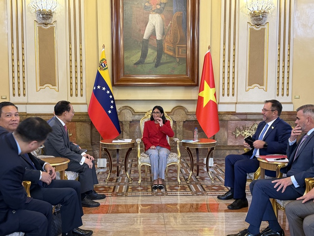 Energy security among key pillars in Vietnam-Venezuela cooperation agenda- Ảnh 1.