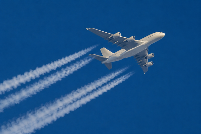 Vietnam has advantages to develop sustainable aviation fuel, but costs remain hurdle: conference - Ảnh 1.