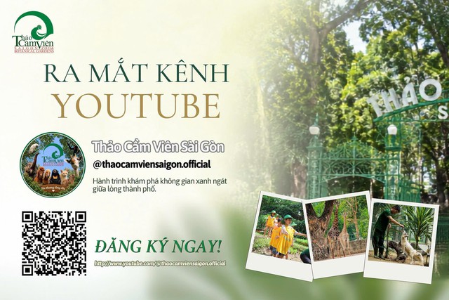 Thảo cầm viên làm “mẹ đỡ đầu” cho gia đình 6 em mèo được cứu hộ- Ảnh 7.