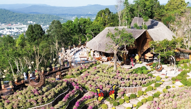 Vietnam’s Phu Quoc demolishes popular The Peak flower garden - Ảnh 3.