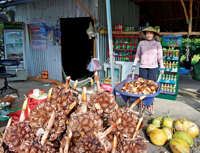 M&aacute;t l&agrave;nh dừa nước miền T&acirc;y - Ảnh 1.