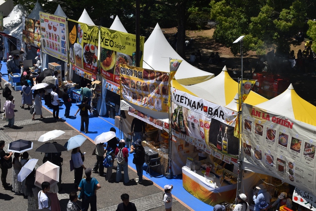 Vietnamese music, gourmet food blend at Tokyo festival- Ảnh 2.