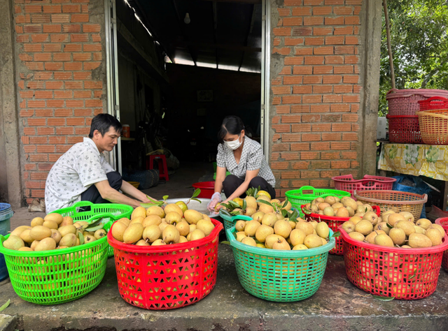 Vietnam’s Dong Thap to treat visitors to fruit fest - Ảnh 2.