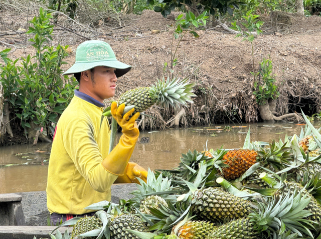 Vietnam’s Dong Thap to treat visitors to fruit fest - Ảnh 4.