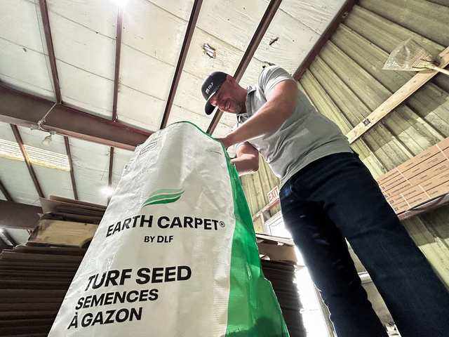 The perfect pitch is the goal for World Cup grass growers - Ảnh 2.