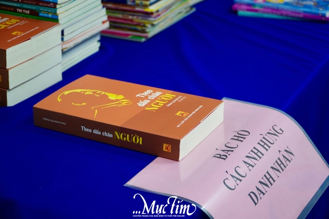 Phân loại sách cho Tủ sách Khăn Quàng Đỏ - Ảnh 9.