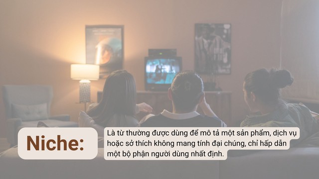 Nghe nhạc ít người biết, xem phim kén khán giả, gen Z gọi là 'niche'- Ảnh 1.