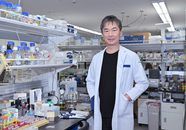 Cat renal disease drug nearing practical use in Japan- Ảnh 2.