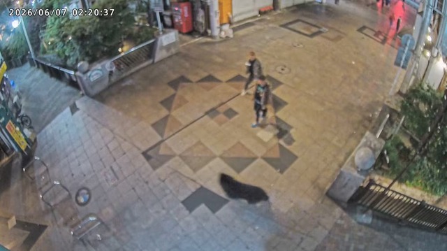 Bear hunt continues as Japanese city shuts schools for second day - Ảnh 4.