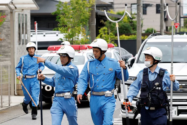 Bear hunt continues as Japanese city shuts schools for second day - Ảnh 1.