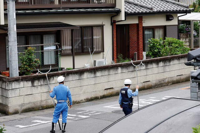 Bear hunt continues as Japanese city shuts schools for second day - Ảnh 3.