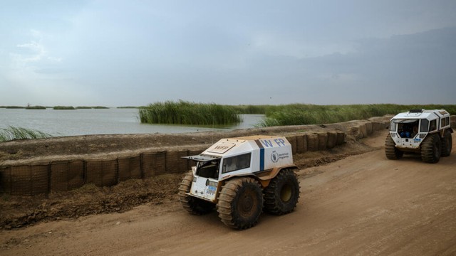 Humanitarians look to put the AI in aid- Ảnh 1.