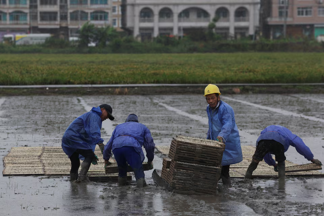 Typhoon Bavi makes landfall in eastern China's Taizhou after nearly 2 million evacuated- Ảnh 2.