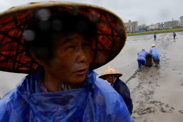 Typhoon Bavi makes landfall in eastern China's Taizhou after nearly 2 million evacuated- Ảnh 3.