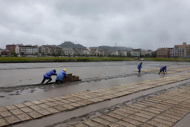 Typhoon Bavi makes landfall in eastern China's Taizhou after nearly 2 million evacuated- Ảnh 4.