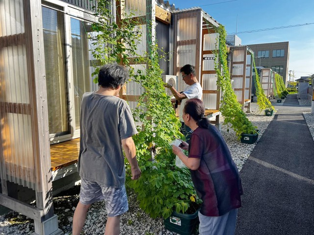 ‘Green curtain’ initiative spreading in Japan- Ảnh 1.