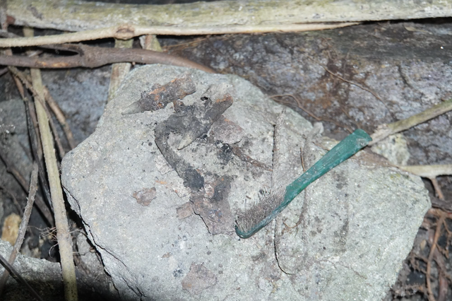 Da Nang launches search for remains of 8 fallen soldiers at wartime cave- Ảnh 2.