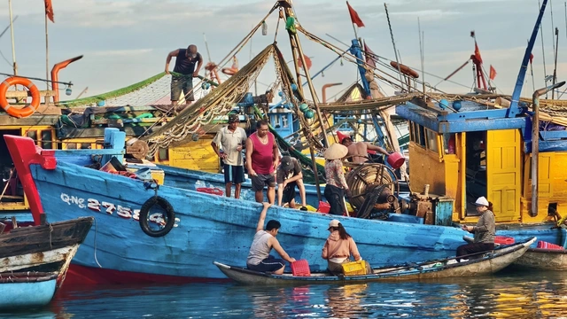 Floating market comes alive at dawn at Vietnam estuary- Ảnh 2.