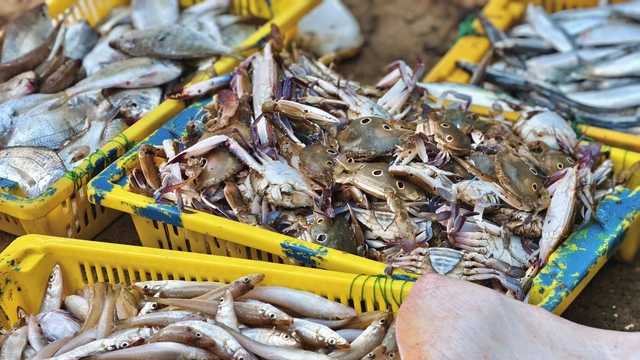 Floating market comes alive at dawn at Vietnam estuary- Ảnh 6.