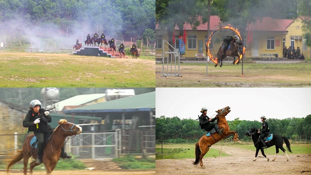 20 Mongolian horses return home after 6 years with Vietnam's mounted police - Ảnh 7.