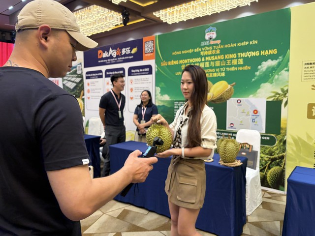 Millions of orders for Vietnamese durians placed through livestreams in China- Ảnh 1.