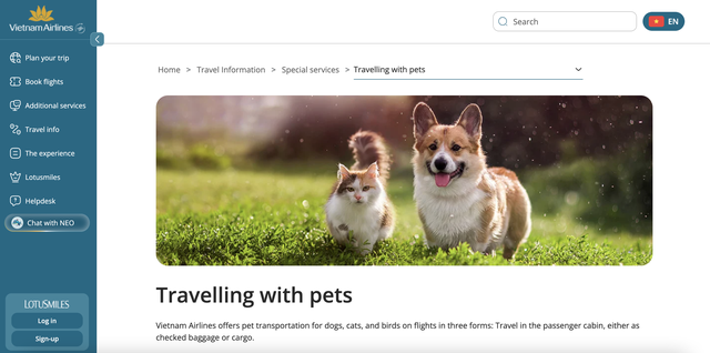 How to bring your pet into the cabin on Vietnamese airlines - Ảnh 1.
