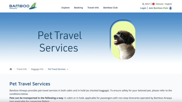 How to bring your pet into the cabin on Vietnamese airlines - Ảnh 2.