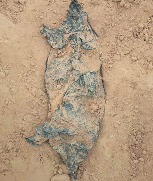 More sets of martyrs’ remains found in Ho Chi Minh City, Hue, Quang Tri  - Ảnh 3.