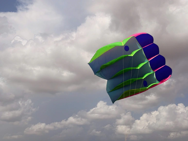 Giant shark kite steals show at border-area contest in southern Vietnam- Ảnh 4.