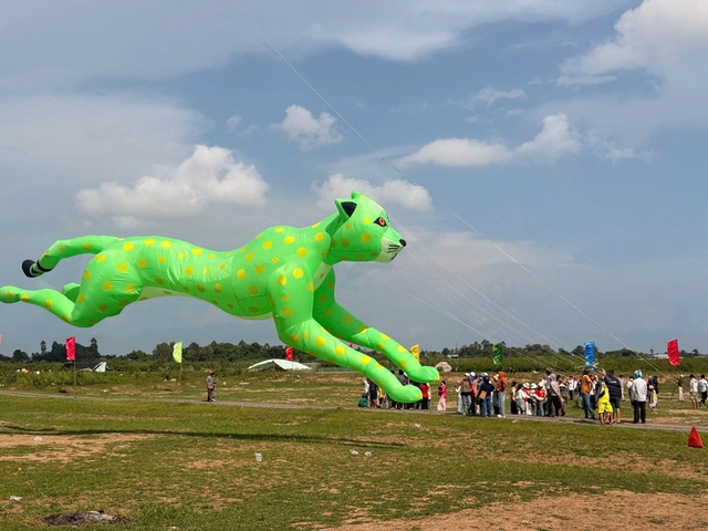 Giant shark kite steals show at border-area contest in southern Vietnam- Ảnh 5.