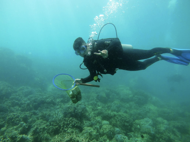2 tourists face $951 fine each for breaking over 10kg of coral in south-central Vietnam- Ảnh 2.