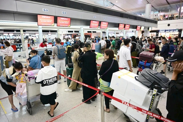 Vietnamese airlines seek growth abroad as home market flattens- Ảnh 1.