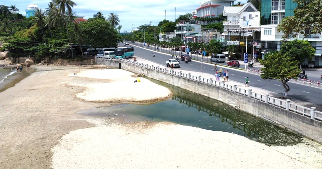 10kg of coral broken by tourists in south-central Vietnam beyond recovery: expert- Ảnh 2.