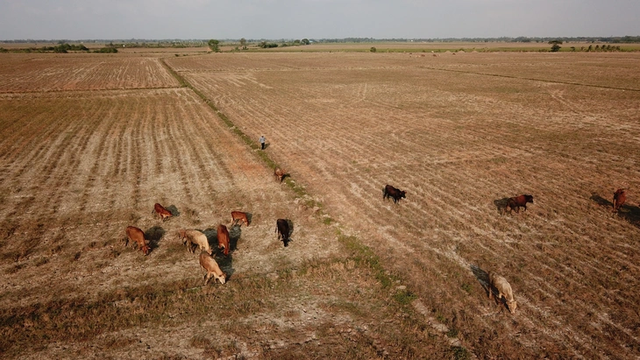 2 El Niño scenarios outlined for Vietnam - Ảnh 1.