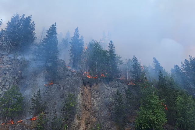 Wildfires spread in Western Canada as temperatures rise, lightning strikes- Ảnh 2.