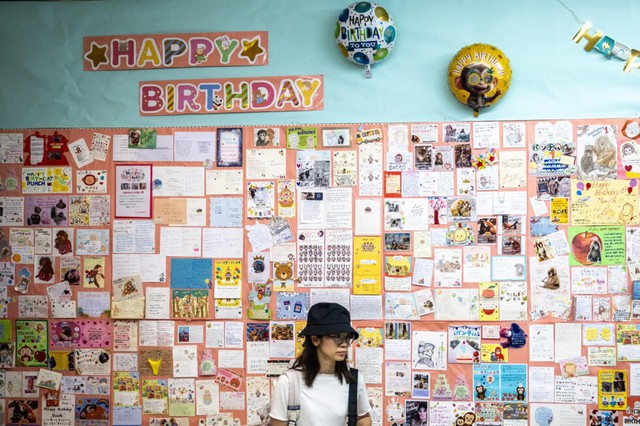 Baby monkey Punch to celebrate first birthday - Ảnh 1.