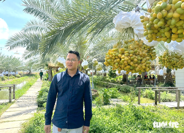 Free date palm garden draws visitors to Vietnam’s Dong Thap- Ảnh 1.