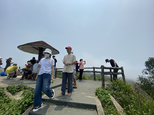 Ban Co Peak: Vietnamese tea in the footsteps of Bill Gates- Ảnh 4.
