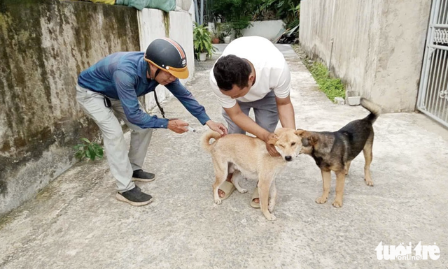 Hanoi moves to phase out dog meat trading for rabies prevention, sustainable livelihoods- Ảnh 1.